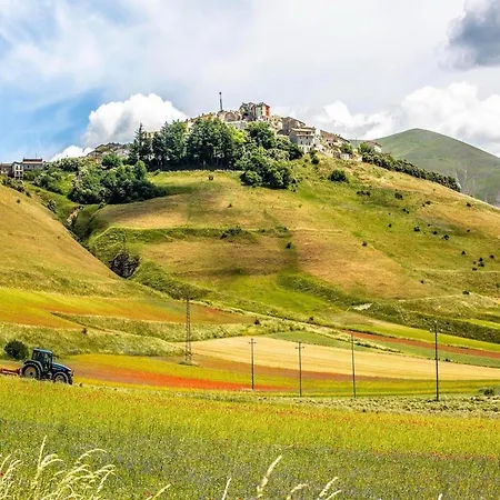 With Garden For 6 People, Cleaning Included Holiday home Assisi